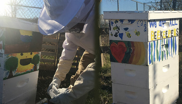 Belle Isle Nature Center - Honey Bee Hive