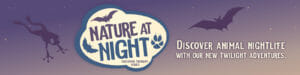 Nature Night Logo